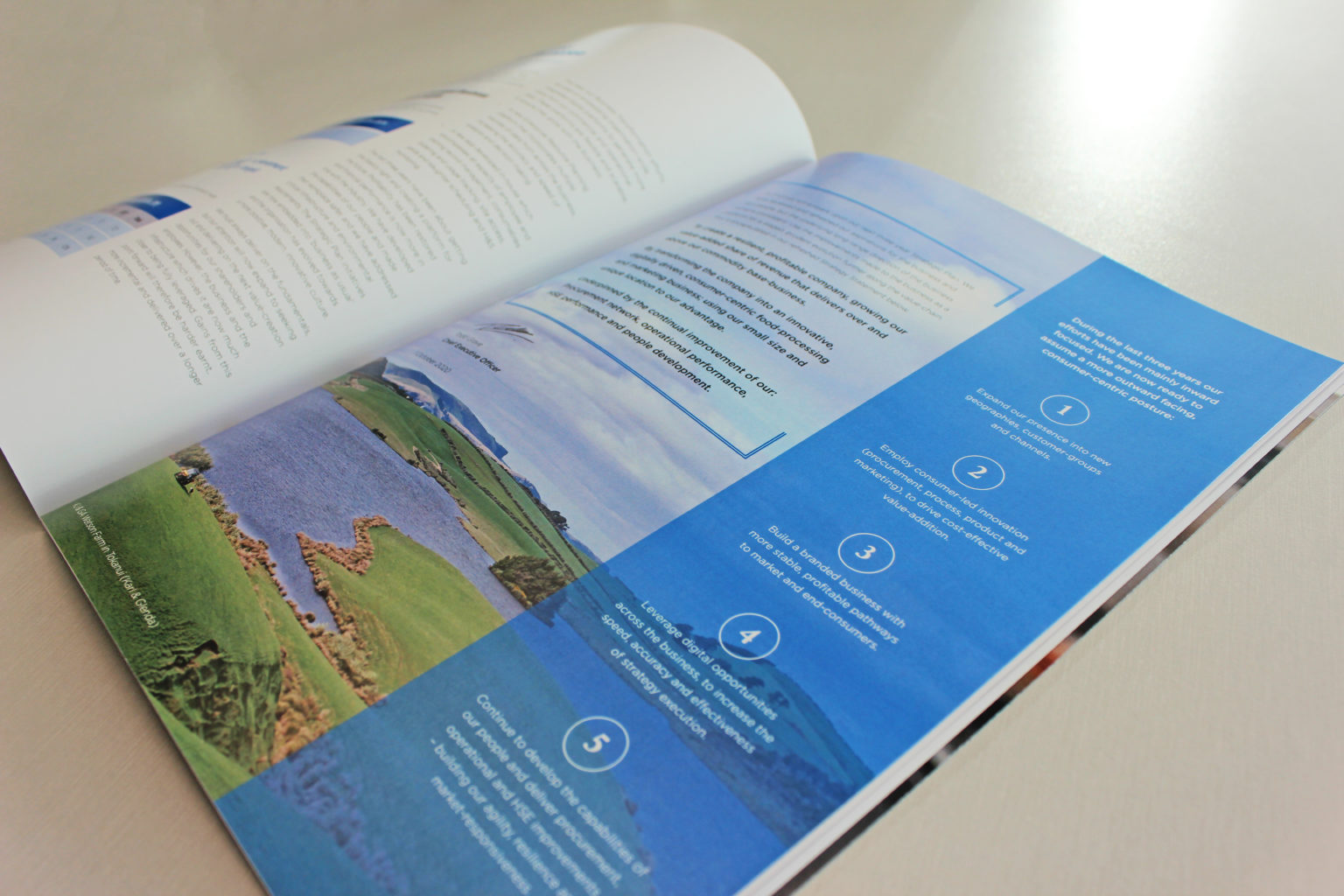 Blue Sky Pastures Spread